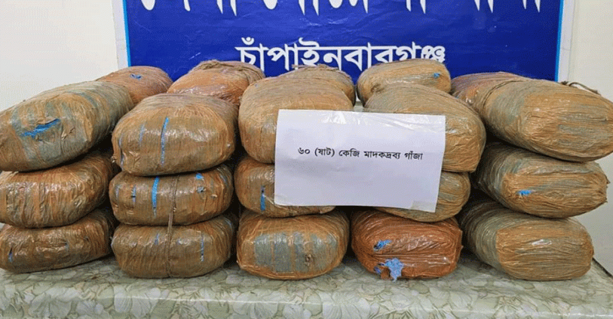 চাঁপাইনবাবগঞ্জে ৬০ কেজি গাঁজা উদ্ধার