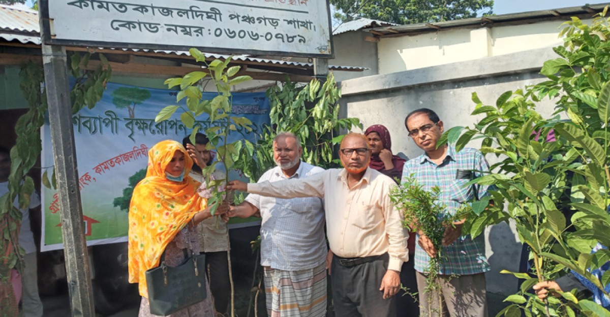 পঞ্চগড়ে গ্রামীণ ব্যাংকের লক্ষাধিক চারা বিতরণ কর্মসূচি